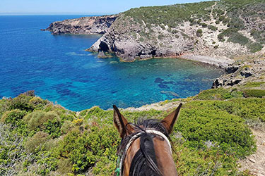 サルデーニャ島滞在乗馬