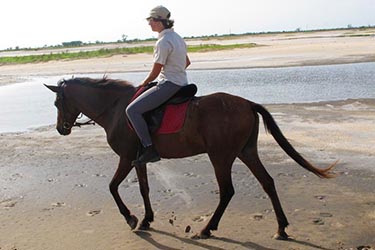 セネガル サムールデルタ乗馬